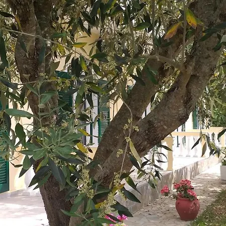 Kapetanios Luxury * Agios Georgios (Corfu)