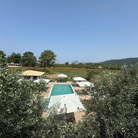 公寓式酒店 Kapetanios Luxury